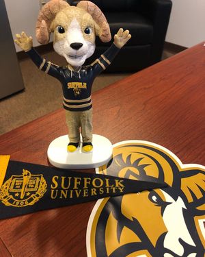Image post by @gosuffolkrams on Instagram
