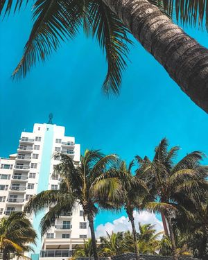 Image post by @theconfidante on Instagram