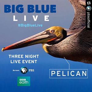 Image post by @kqed on Instagram