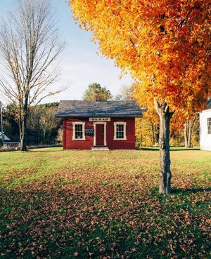 Image post by @themainemag on Instagram