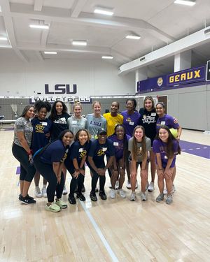 Image post by @lsuvolleyball on Instagram