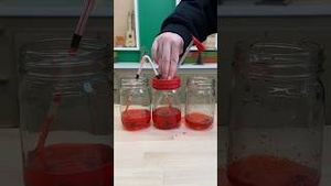 Video post by @kiwico on YouTube