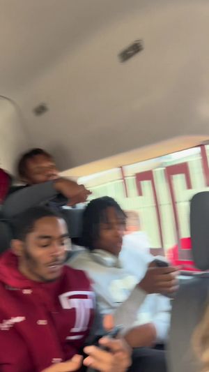 Video post by @templeowls on TikTok