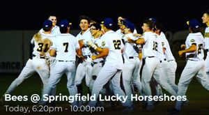 Image post by @burlington_bees on Instagram