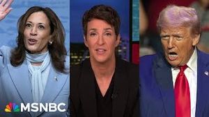 Video post by @msnbc on YouTube