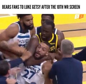 Image post by @bearsblizzard on Instagram