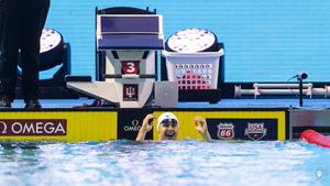 Image post by @IndianaSwimDive on Twitter