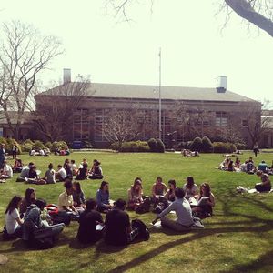 Image post by @hofstrau on Instagram