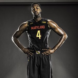 Image post by @terrapinhoops on Instagram