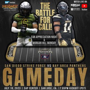 Image post by @panthersifl on Instagram