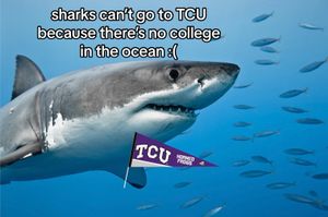 Video post by @texaschristianuniversity on TikTok