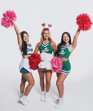 Image post by @fgcu_cheer on Instagram