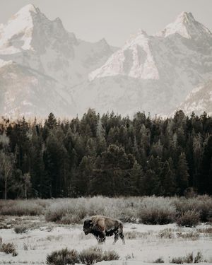 Image post by @moment on Instagram