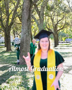 Image post by @usouthflorida on Instagram