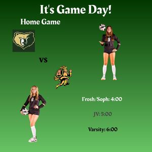 Image post by @bashabearsvb on Instagram