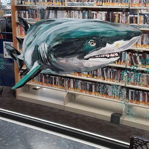 Image post by @stjohnscountylibrary on Instagram