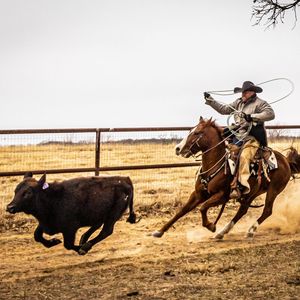 Image post by @schaeferoutfitter on Instagram
