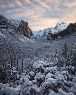 Image post by @meshna on Instagram