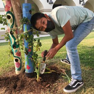 Image post by @kidsgardening on Instagram