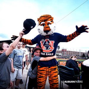Image post by @auburntigers on Instagram