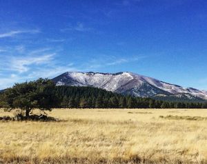 Image post by @melanielynnen on Instagram