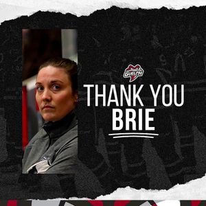 Image post by @guelph_storm_ohl on Instagram