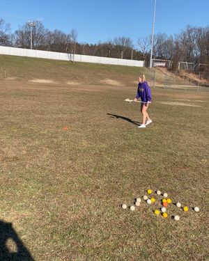 Image post by @petersonlaxtraining17 on Instagram