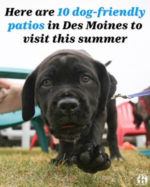 Image post by @dmregister on Instagram