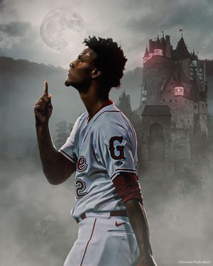 Image post by @ohbeedesign on Instagram