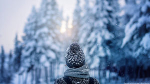 Image post by @WestJet on Twitter