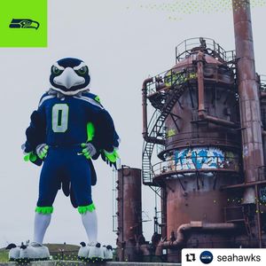 Image post by @blitztheseahawk on Instagram