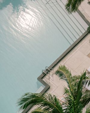 Image post by @wsouthbeach on Instagram