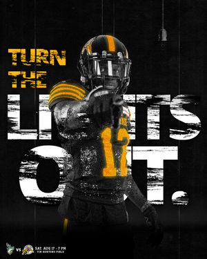 Image post by @hamiltontigercats on Instagram