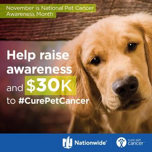 Image post by @nationwide on Instagram