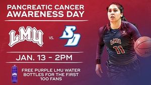 Image post by @lmulionswb on Instagram