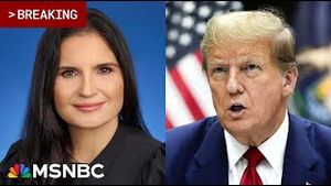 Video post by @msnbc on YouTube