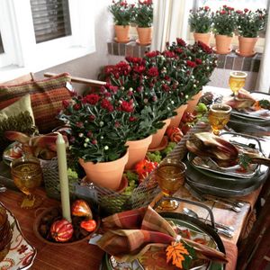 Image post by @shopbachmans on Instagram