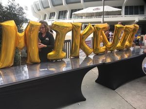 Image post by @lsutigertv on Instagram