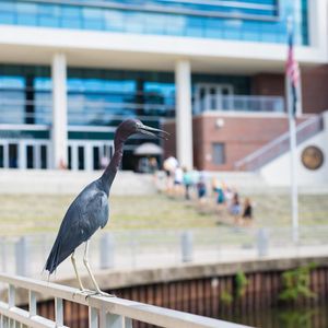 Image post by @reitzunion on Instagram