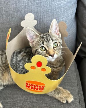 Image post by @burgerking on Instagram
