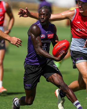 Image post by @freodockers on Instagram