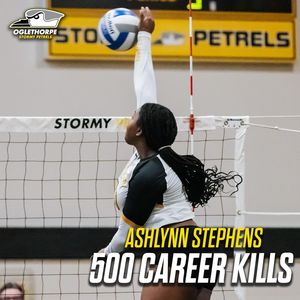 Image post by @gopetrels on Instagram