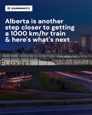 Image post by @curiocitycalgary on Instagram