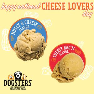 Image post by @dogstersicecream on Instagram