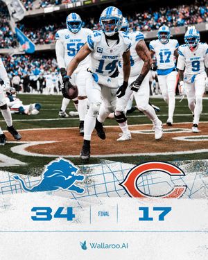 Image post by @Lions on Twitter