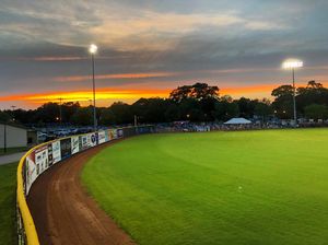 Image post by @ilmsharks on Instagram