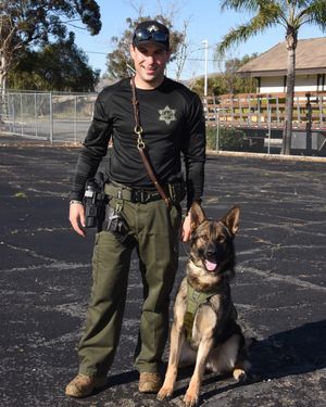 Image post by @vcsheriff on Instagram