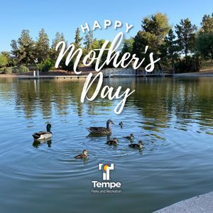 Image post by @tempeparksandrec on Instagram