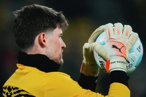 Image post by @BVB on Twitter
