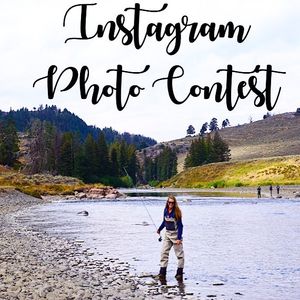 Image post by @steeple_squigs on Instagram